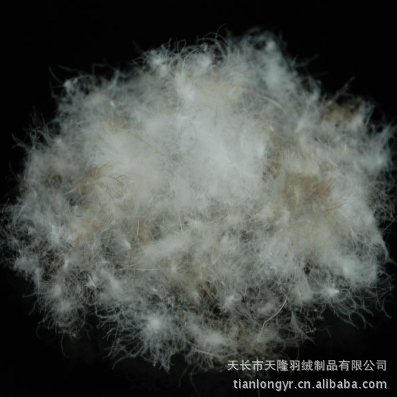 【熱銷】供應(yīng)推薦廠家大量銷售羽絨 水洗鵝毛羽絨 水洗羽絨圖片,【熱銷】供應(yīng)推薦廠家大量銷售羽絨 水洗鵝毛羽絨 水洗羽絨圖片大全,天長市天隆羽絨制品-8-