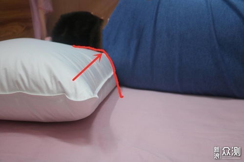 羽絨產(chǎn)品怎么選 四款鵝絨枕橫評盡在此篇