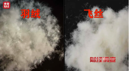 以&ldquo;絲&rdquo;代&ldquo;絨&rdquo;亂象頻生,消費(fèi)者選購羽絨服時(shí)應(yīng)注意什么?