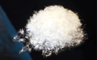 上海羽絨加工廠 專業羽絨制品的供應商 安徽鴻暖