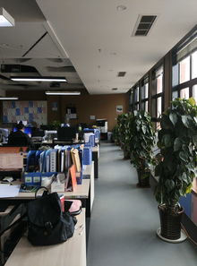 西藏神力實業(yè)集團招聘信息 公司前景 規(guī)模 待遇怎么樣
