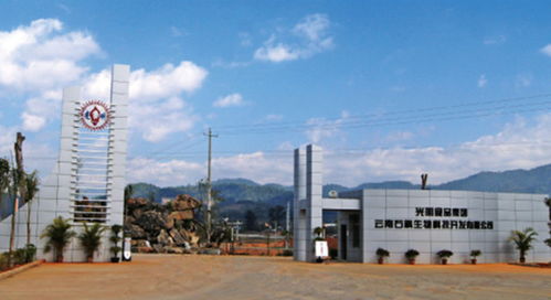 了不得 20家子公司 50大品牌 1600億營收,這就是光明食品集團