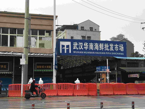 大數據服務疫情監測,助力農貿市場安心 放心和誠心經營