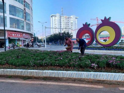 縣城管局扎實做好春節期間城市運行保障工作